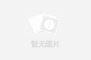 中国重汽集团向一诺电子采购DS2电子式推拉力计